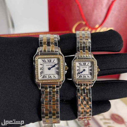 Montre Panthère de Cartier Argentée et gold diamond Pour Femme